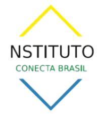 Instituto Conecta